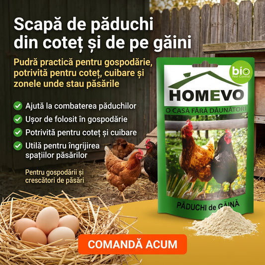 Tratament natural împotriva păduchilor 3 + 1 GRATIS