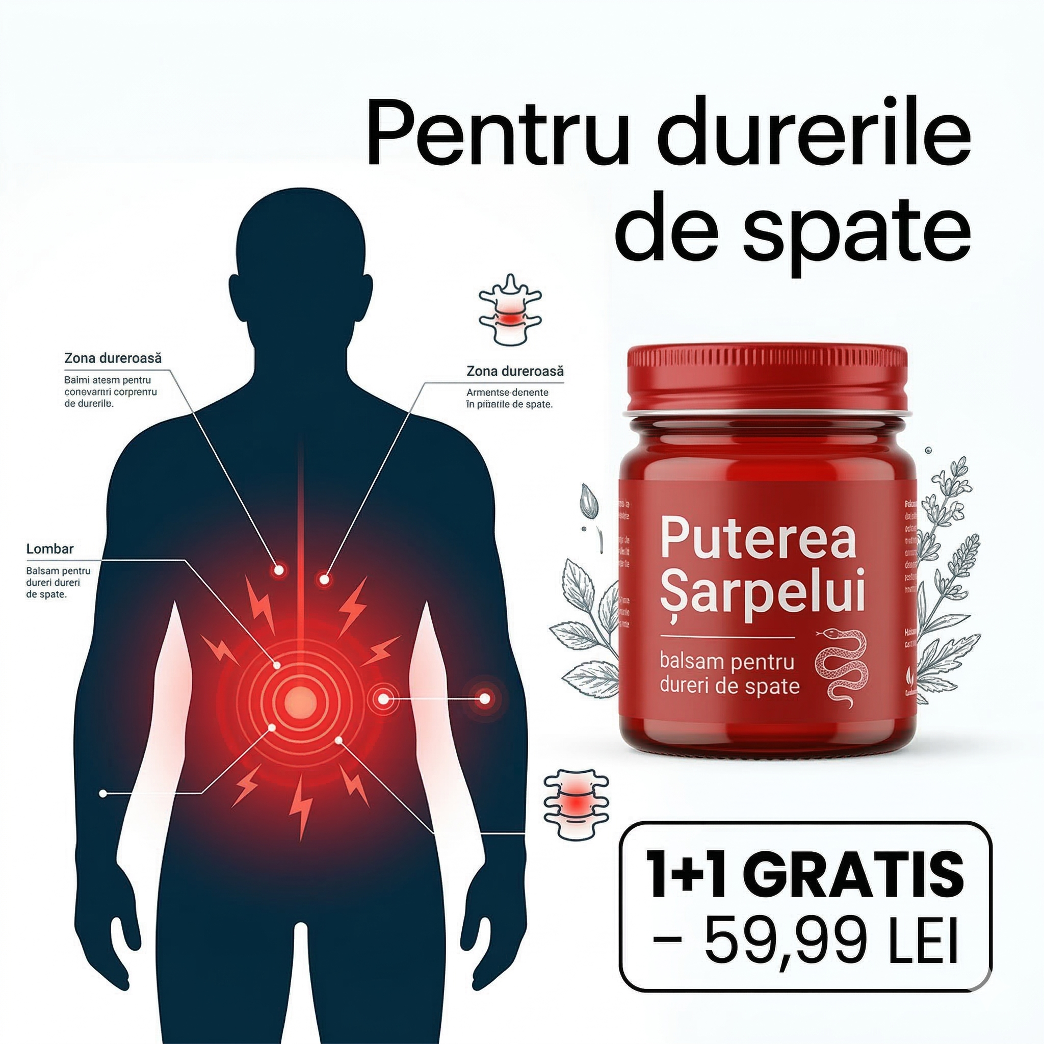 Balsam Puterea Șarpelui pentru Spate ┃ 1+1 GRATIS