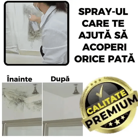Spray Pentru Repararea Pereților - ( Anti Mucegai )